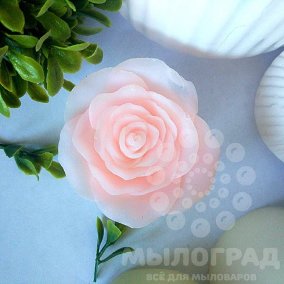 Роза Благородная мини© 