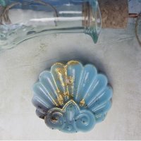 Ракушка морская ХГ