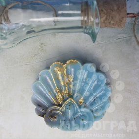 Ракушка морская ХГ 