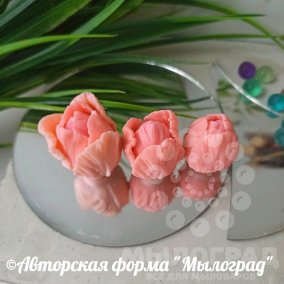 Тюльпаны Нежные, малые (моноформа)© 