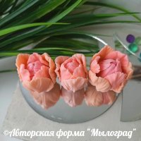 Тюльпаны Нежные, большие (моноформа) ©