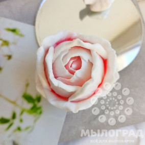 Бутон розы Гранд © 