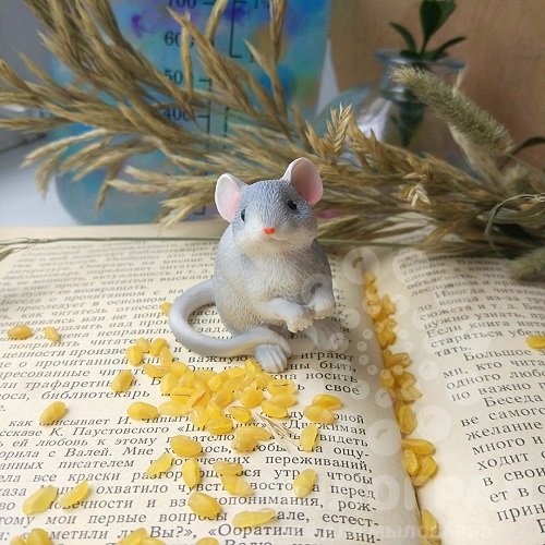 Серая мышь для королевы. Секреты серой мыши. Белая и серый мышата влюблены. Секреты серой мыши читать