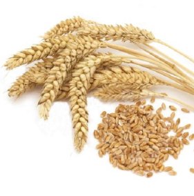 Гидролизованные протеины пшеницы 15мл 