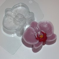 Орхидея, ЕХ