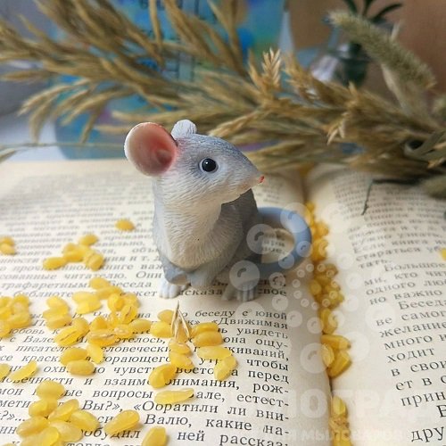 Секреты серой мыши. Секреты серой мыши читать