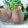 Бутон роза Диана №1 © - Бутон роза Диана №1 ©