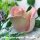Бутон роза Диана №2 © - Бутон роза Диана №2 ©