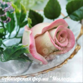 Бутон роза Диана №2 © 