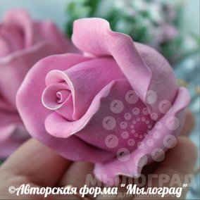 Бутон роза Диана №3 © 