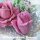 Бутон роза Диана №3 © - Бутон роза Диана №3 ©