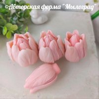 Тюльпаны Анабель (моноформа) ©