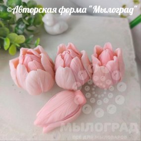 Тюльпаны Анабель (моноформа) © 