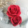 Розы Беверли © (набор) - Розы Беверли © (набор)