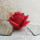 Розы Беверли © (набор) - Розы Беверли © (набор)