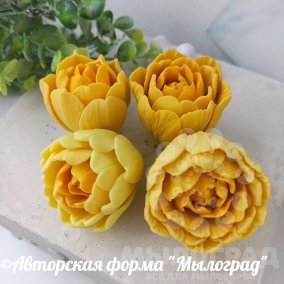Тюльпаны Санни © набор 